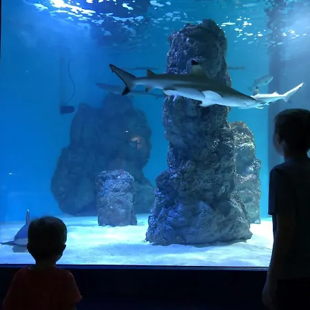 Apartment Arena Sunset, Sea Coloseum View, 2 Free Parking