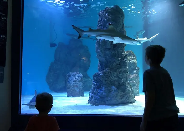 Апартаменты Arena Sunset, Sea Coloseum View, 2 Free Parking